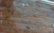 Image Of Mold On Wall
